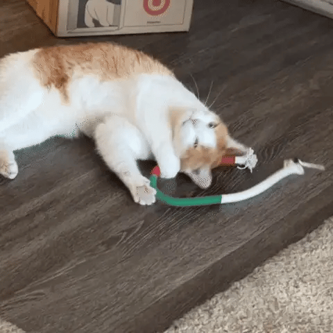 KauSchlange - Zahnpflegendes Katzenspielzeug